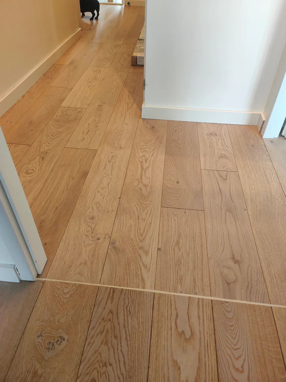 poseur sols souple verne sur seiche